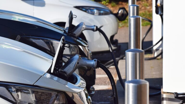 EV subsidy cut was inevitable despite industry ‘outrage’