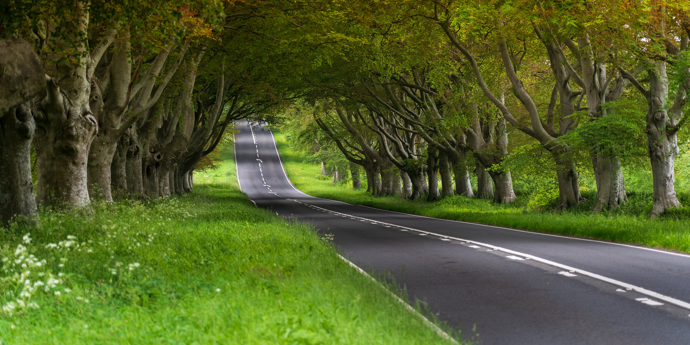 Understanding UK road markings